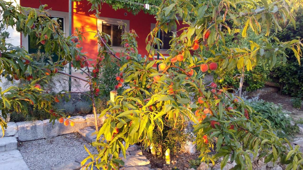 Apartment Vila Volicija ماكارسكا المظهر الخارجي الصورة